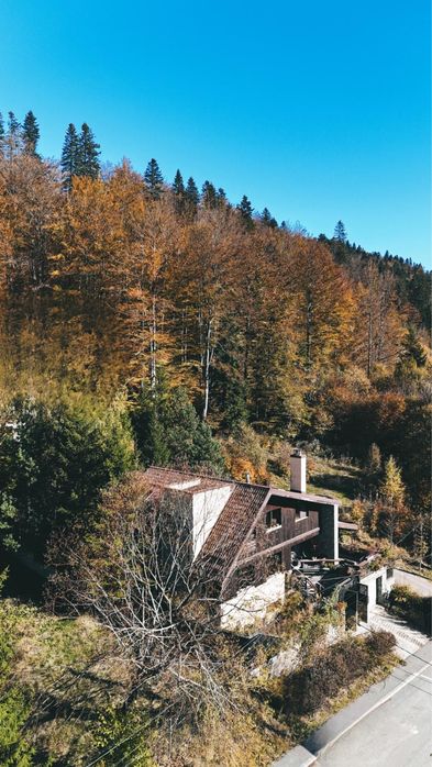 Chalet De Lux (Azuga) . Disponibia de Pasti .