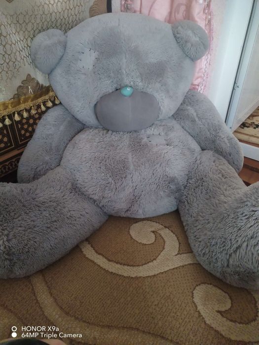 Тез ва арзон Teddy сотилади