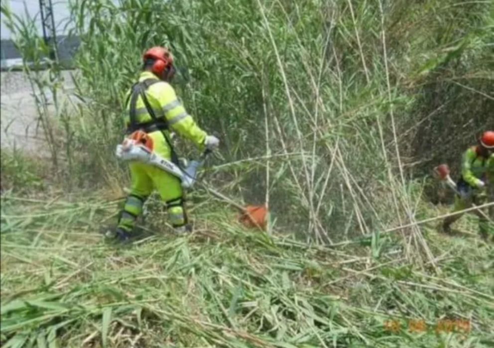 Tocător de inchiriat