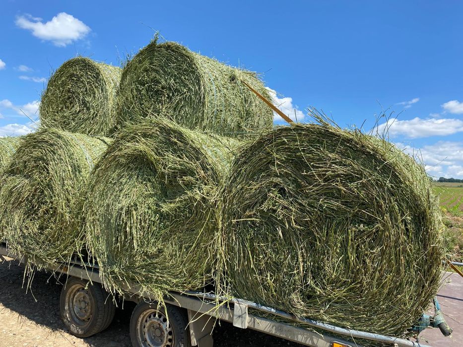Vănd  Baloți  cu lucerna de calitate