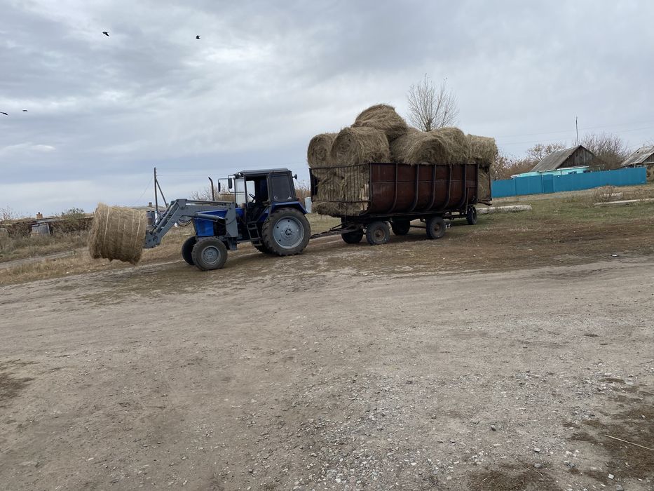 Продам мтз-82 с куном !!!