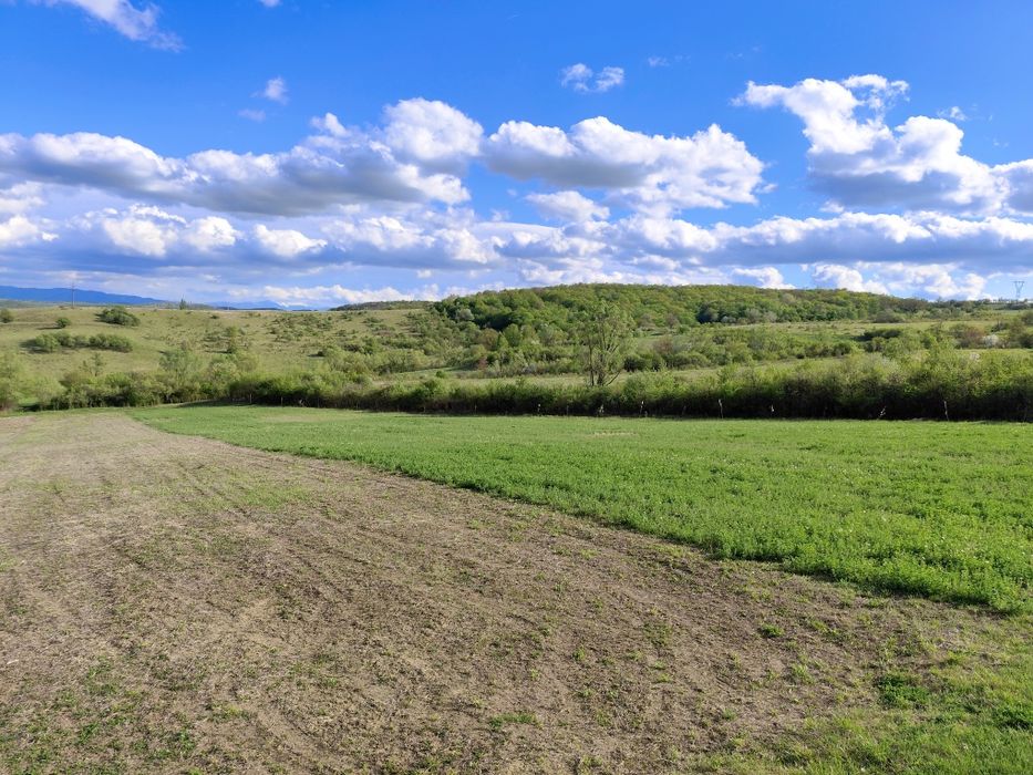 Teren intravilan / extravilan Răcăștia