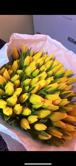 Тюльпаны оптом на 8 марта