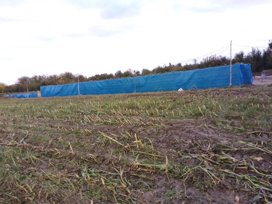 Лой Блок Сотилади