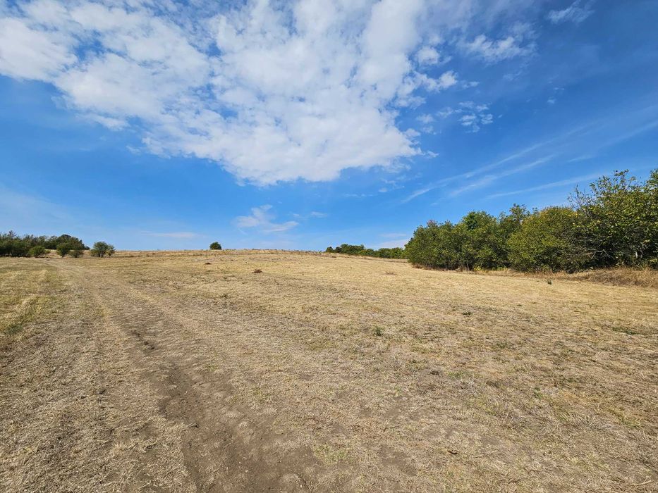 Продава се Парцел в с. Беляковец, Област Велико Търново - 3700 кв.м за 6 €/кв.м - Снимка #1