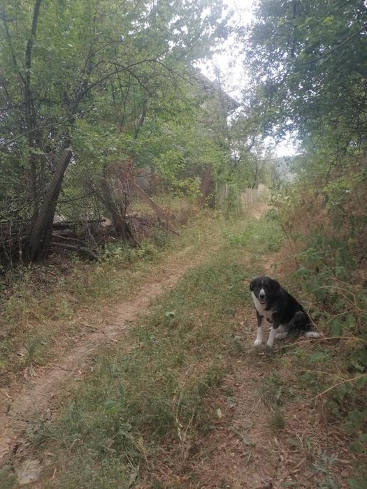 Продава се Парцел в Елин Пелин - 581 кв.м за 29 €/кв.м - Снимка #1