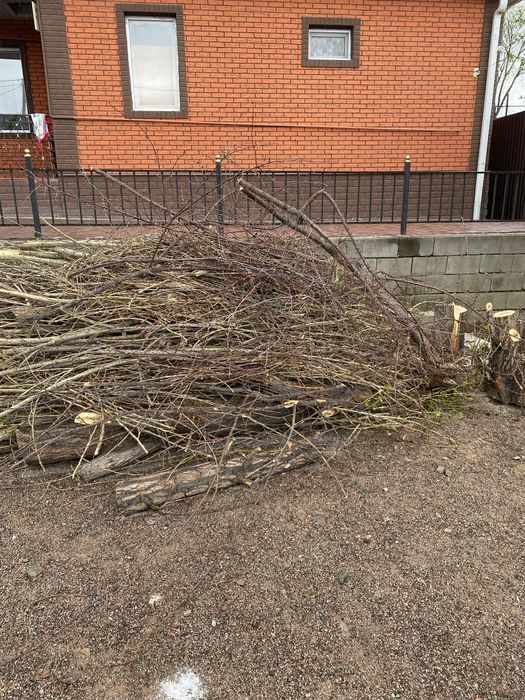 Дрова для бани, мангала, печи