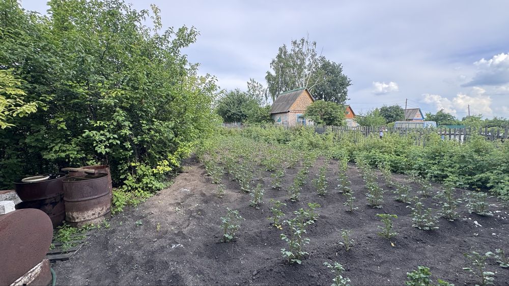 Продам Дачу 10 соток с/о «Ракета»