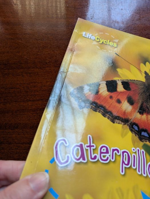 Set 2 carti in engleza din seria  Life Cycles  Fluturi si rechini