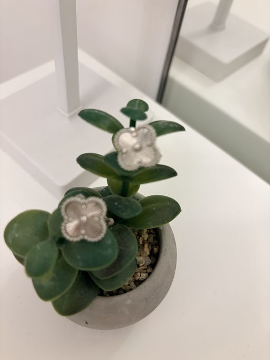 Van cleef earings