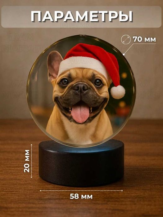 Шар с фото и видео