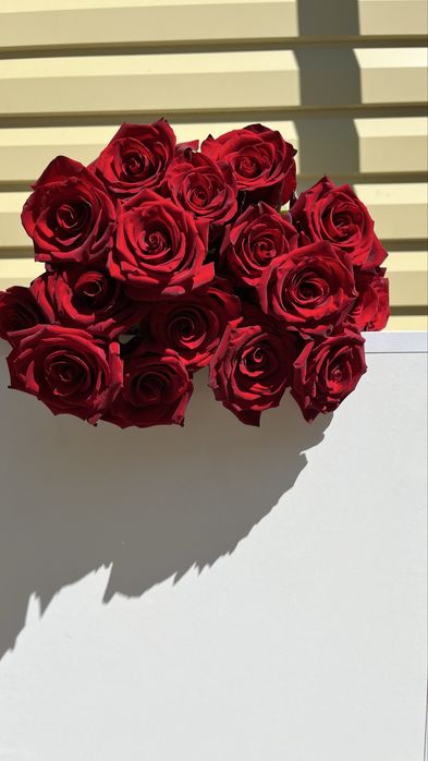 Красная роза 80 см - 700 тг