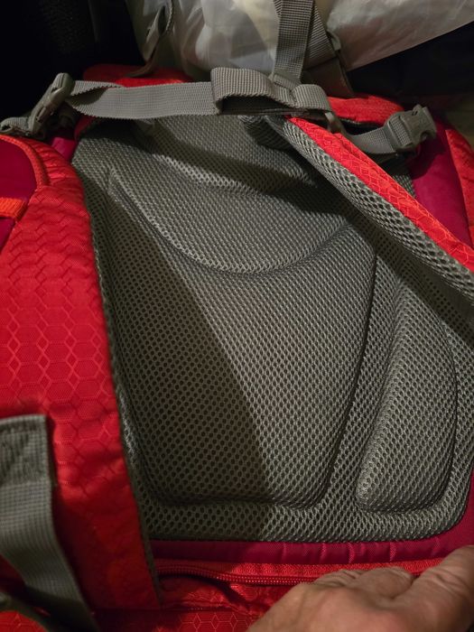 Kurgo G-Train dog backpack, with integrated pet compartment, waterproof base, for pets up to 11 kg, red