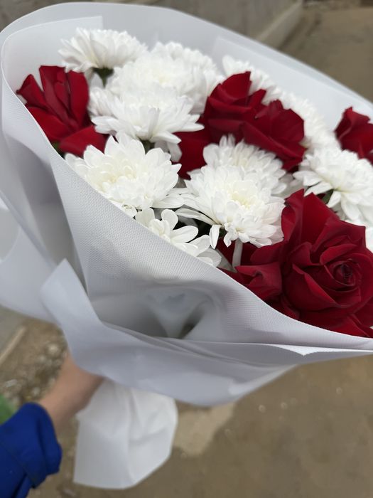 Харизентема розы все свежие