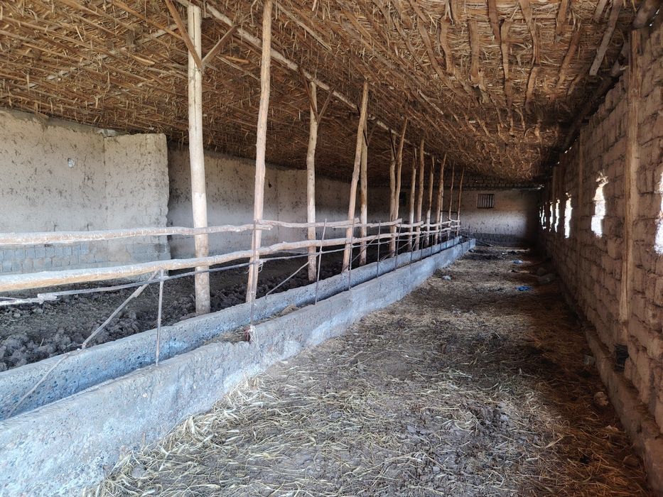 Tayyor Agro-Majmua ijaraga beriladi: 6 gektar