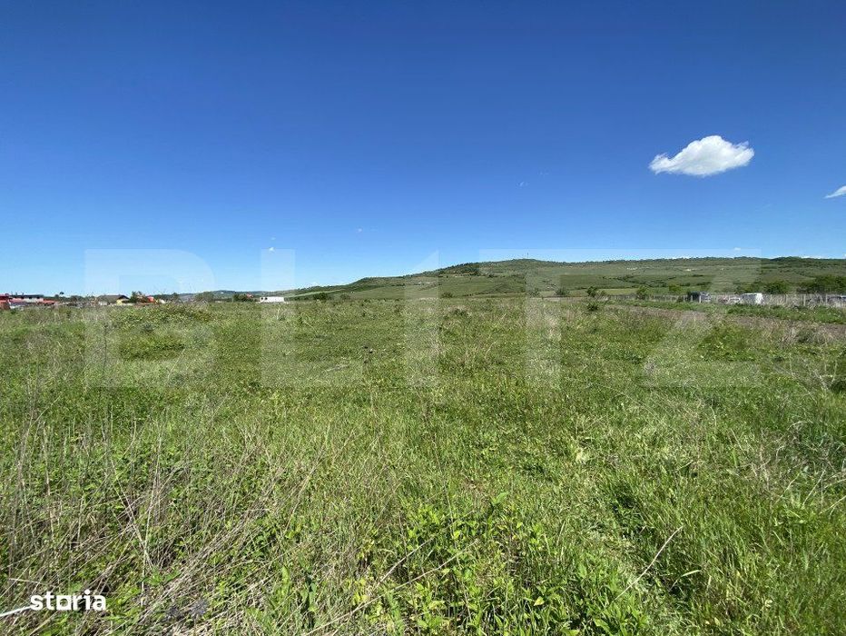 Teren Intravilan zona Industriala