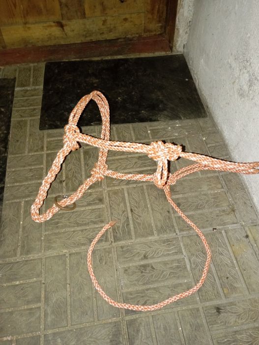 Продам арканы для лошадей