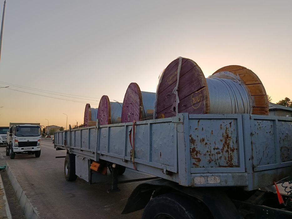 Zil shalanda yili 1991