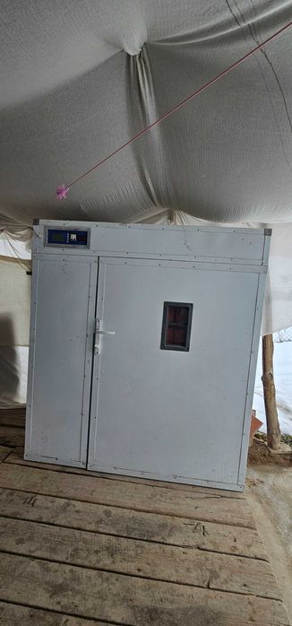 Kelishiladi inkubator