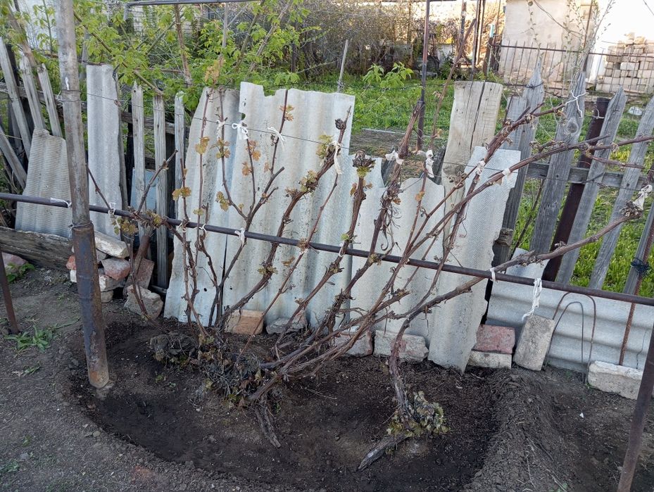 Срочно продам пол дома в центре города!