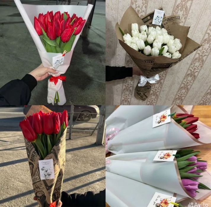 •Тюльпаны •Цветы в розницу