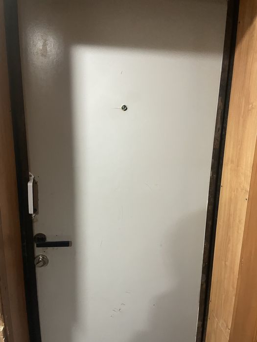 Железная дверь 80/200