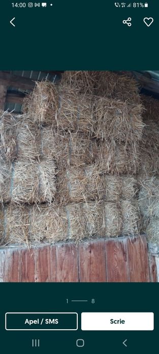 Baloti de paie uscati