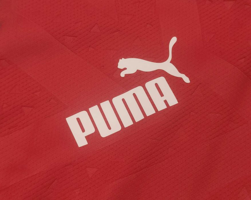Bluza trening Puma Morroco Green/Red