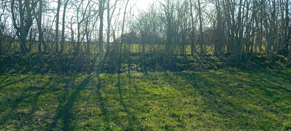 Продава се Парцел в Варна, Базар Левски - 1380 кв.м за 3 €/кв.м - Снимка #5