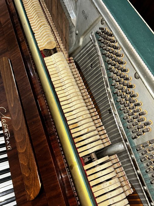 Пианино ласточка