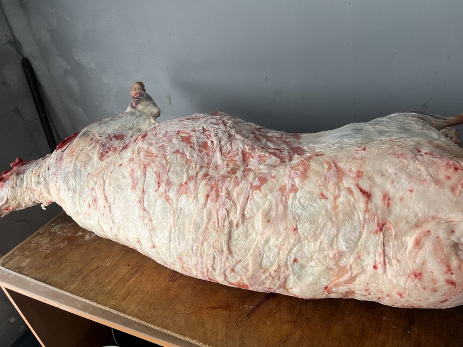 Продам мясо баранины упитанные