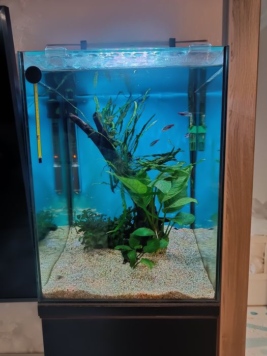 Acvariu nano  cub