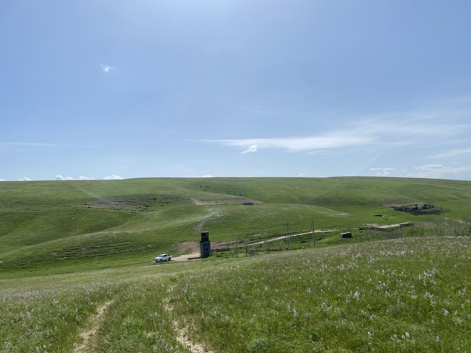 Продам фазенду срочно