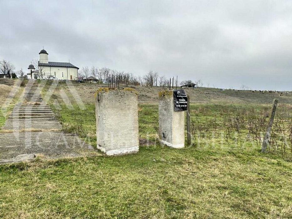 Teren intravilan 5.040 mp, parcelat 5 loturi, Tăriceni, jud. Călărași