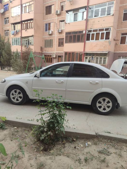 Жентра 2022 новый