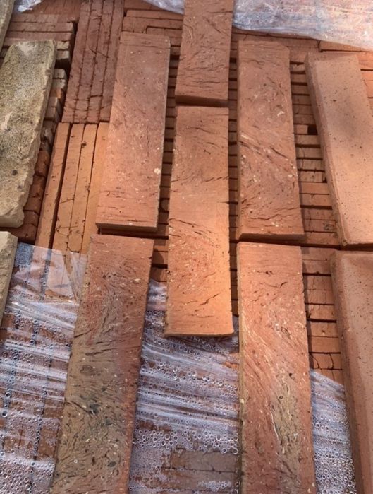 Caramida marginii* Rustice *