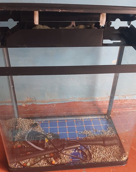 Продаётся аквариум для рыб, объем +- 18 л.