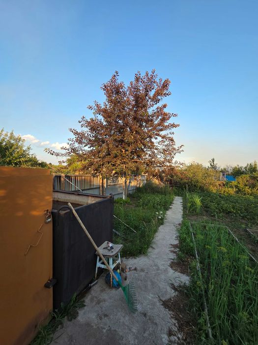 Продам дачу двенадцать соток