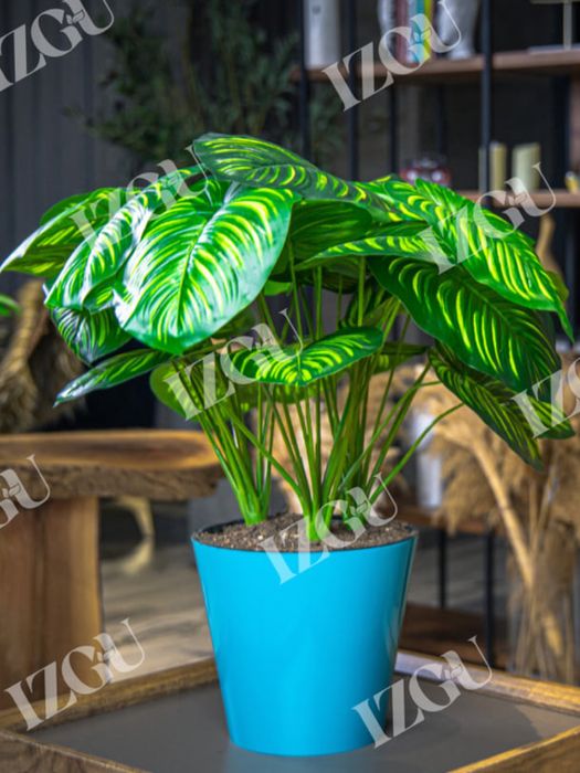 Горшки для цветов/Гул тувак