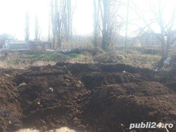 Pământ vegetal nisipos – Timișoara și împrejurimi