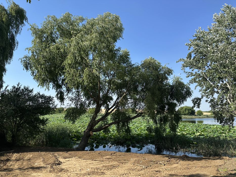 Balotesti - Teren la Lac 2700 mp