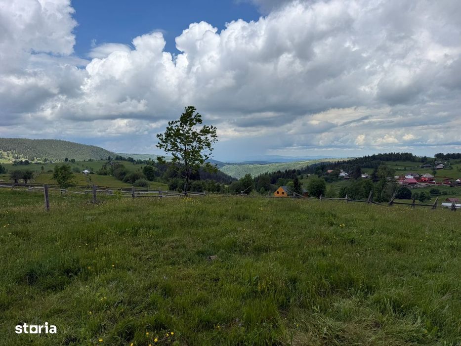 Teren | 13600 mp | Marisel