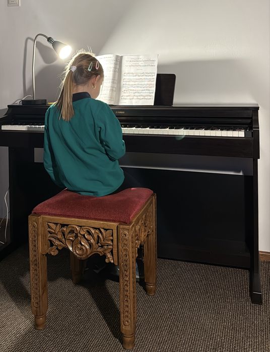 Cursuri pian și vioară – copii și adulți