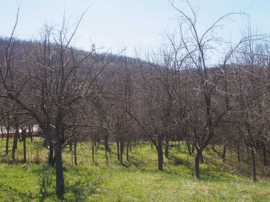 Продава се Парцел в с. Белиш, Област Ловеч - 2608 кв.м за 16 €/кв.м - Снимка #3