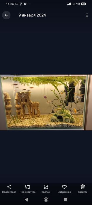 Аквариум 60 литров