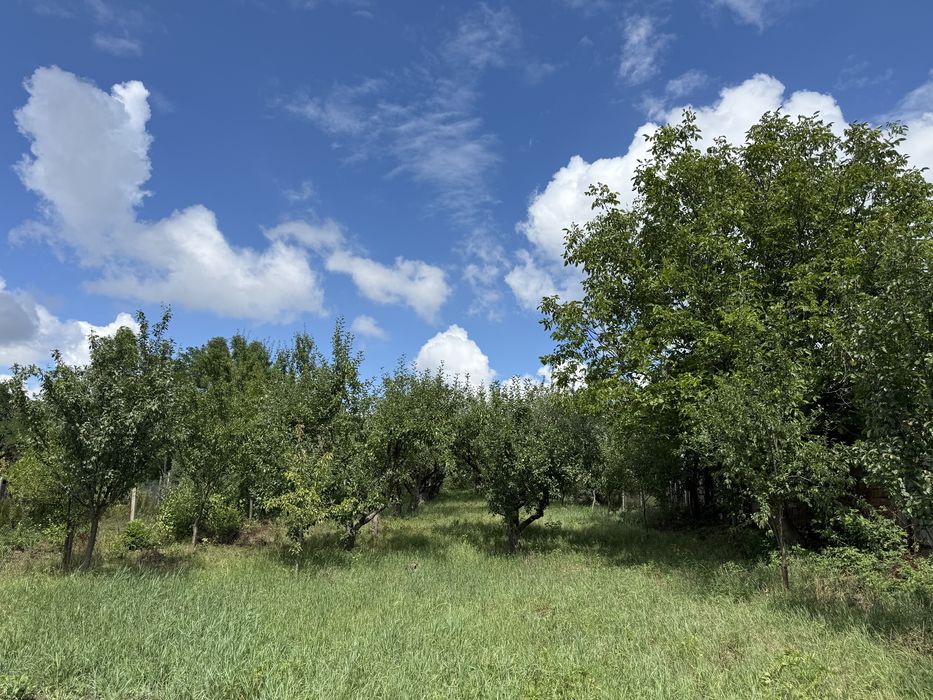 Casa cu livada / Teren intravilan / Sacel - 1400 mp Pozitie centrala