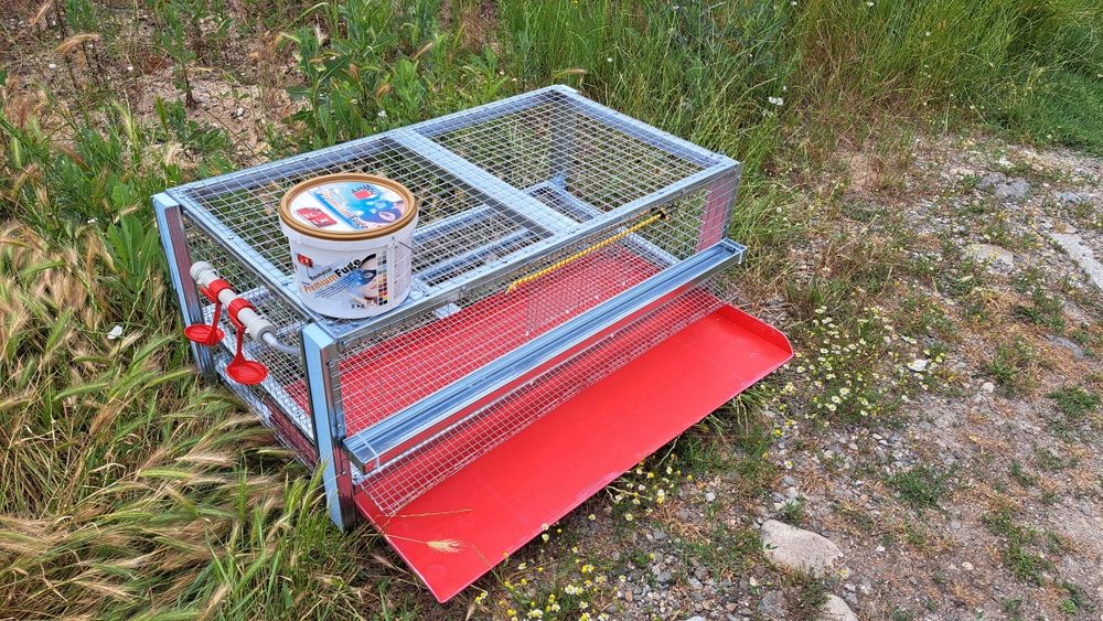 Клетки за пъдпъдъци