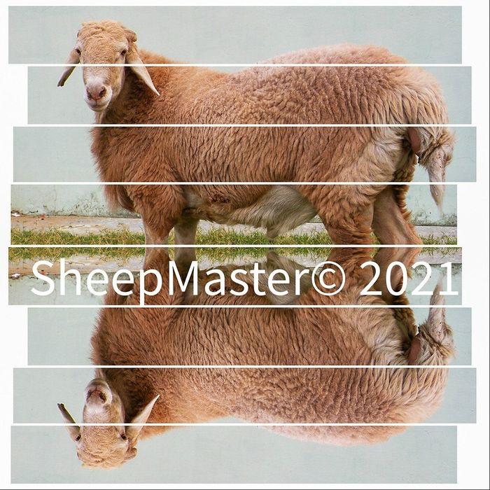 Кассоб хизмати  услуги убойный животных