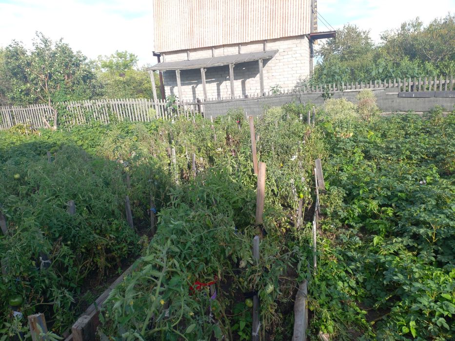 Продам дачи 3 участка все рядом