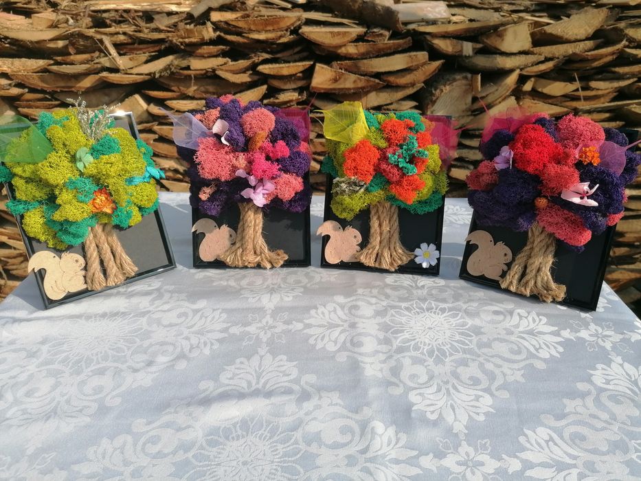 Aranjamente cu licheni si veveriță